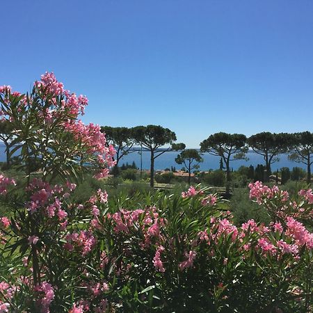 诺纳贝蒂娜农家乐 Moniga del Garda 外观 照片