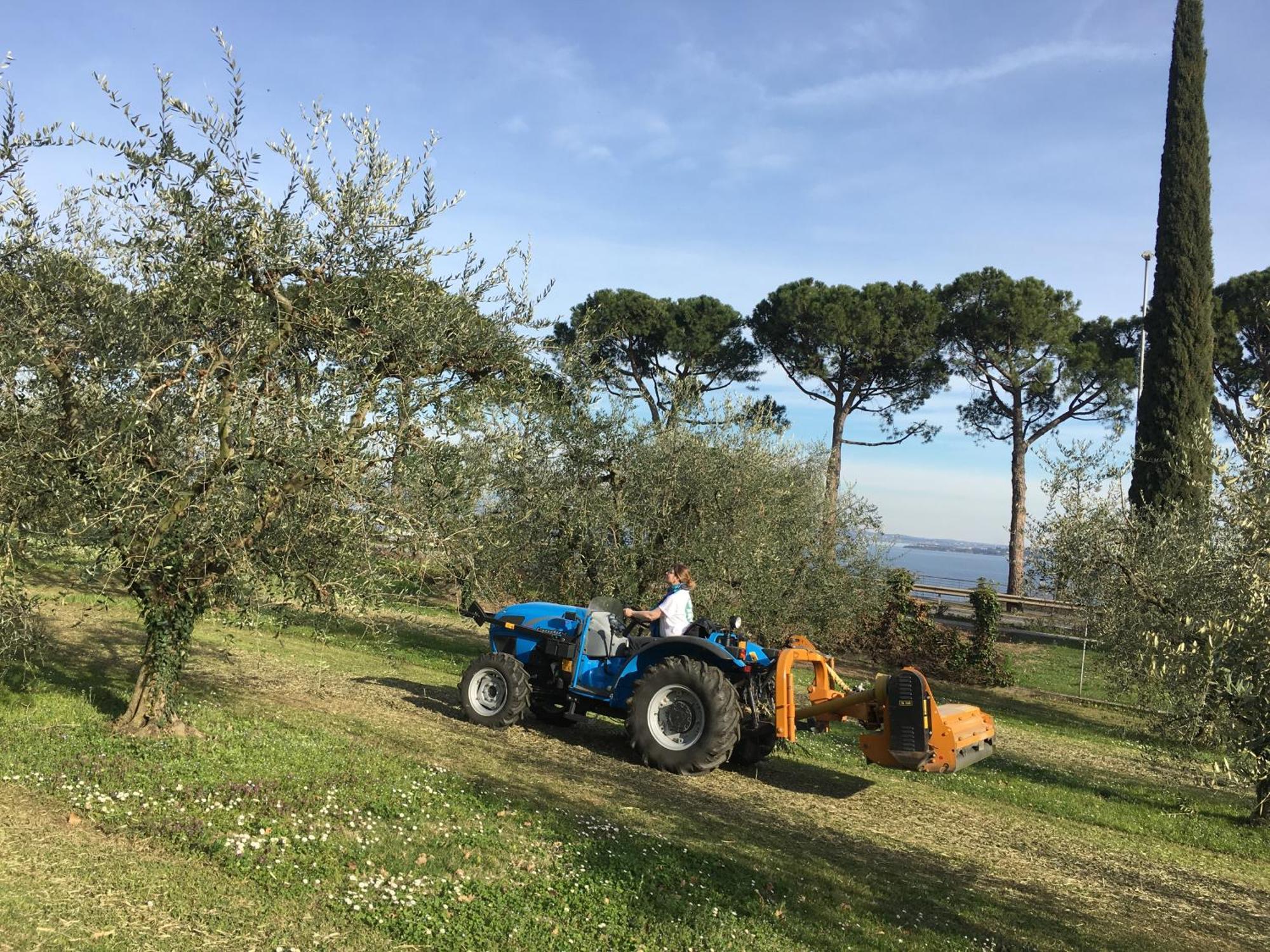 诺纳贝蒂娜农家乐 Moniga del Garda 外观 照片