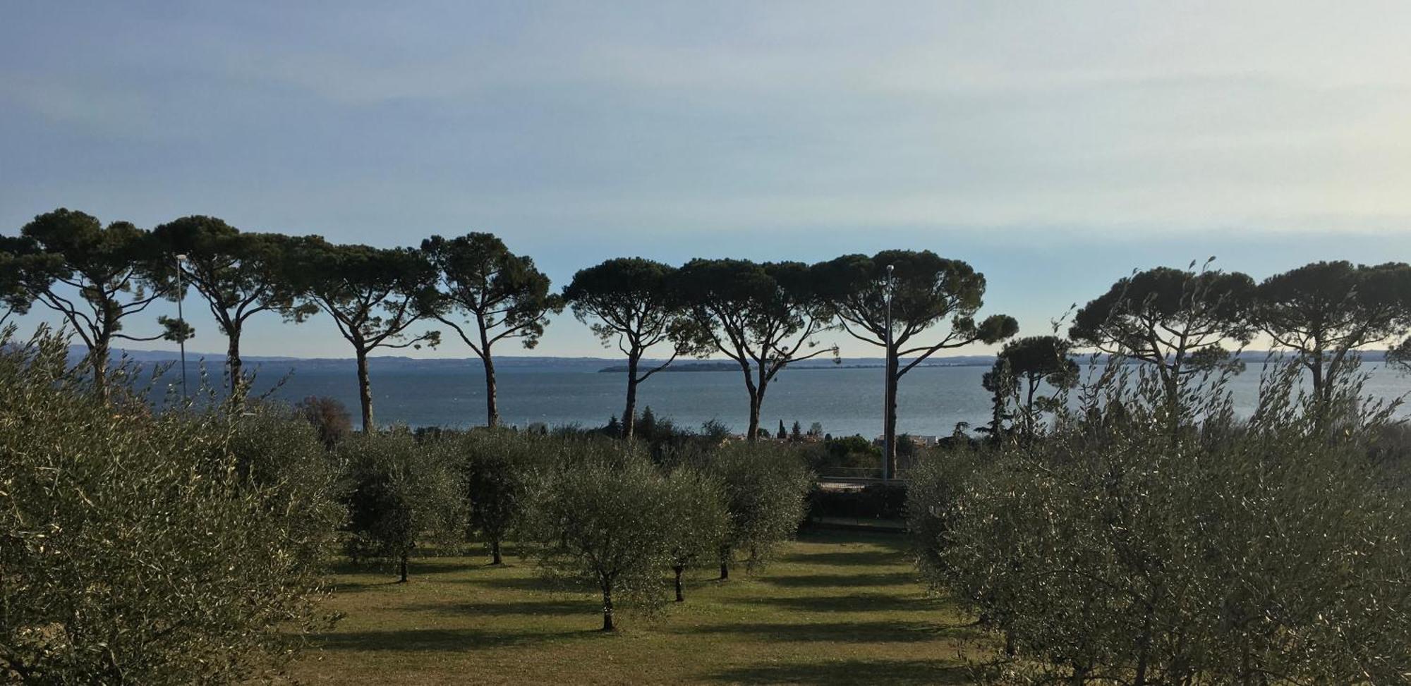 诺纳贝蒂娜农家乐 Moniga del Garda 外观 照片
