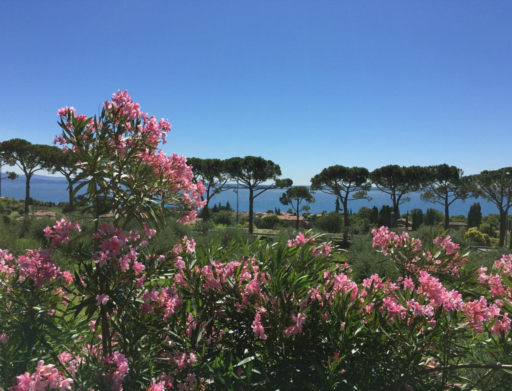 诺纳贝蒂娜农家乐 Moniga del Garda 外观 照片